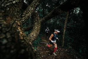 BIB: 
                            <button type="button" onclick="openModal(25695010)" class="btn btn-primary btn-sm float-right btn-popup" data-toggle="modal" data-target=".modal-high-quality">
                        <i class="fas fa-shopping-cart"></i> Add to Cart
                    </button>
                                            <button type="button" onclick="isThisMe(25695010, true)" class="btn btn-success btn-sm float-right btn-popup btn-isme hidden" data-toggle="tooltip" data-placement="bottom" title="นี่คือรูปของคุณใช่ไหม คลิกที่นี่เพื่อเอาเข้าอัลบั้ม">
                        <i class="fas fa-plus"></i> Add to album
                    </button>
                    <button type="button" onclick="isThisMe(25695010, false)" class="btn btn-warning btn-sm float-right btn-popup btn-isnotme hidden">
                        <i class="fas fa-ban"></i> Remove from album
                    </button>